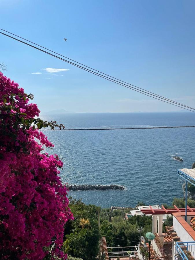 Vila La Rosa Dei Venti Massa Lubrense Exteriér fotografie