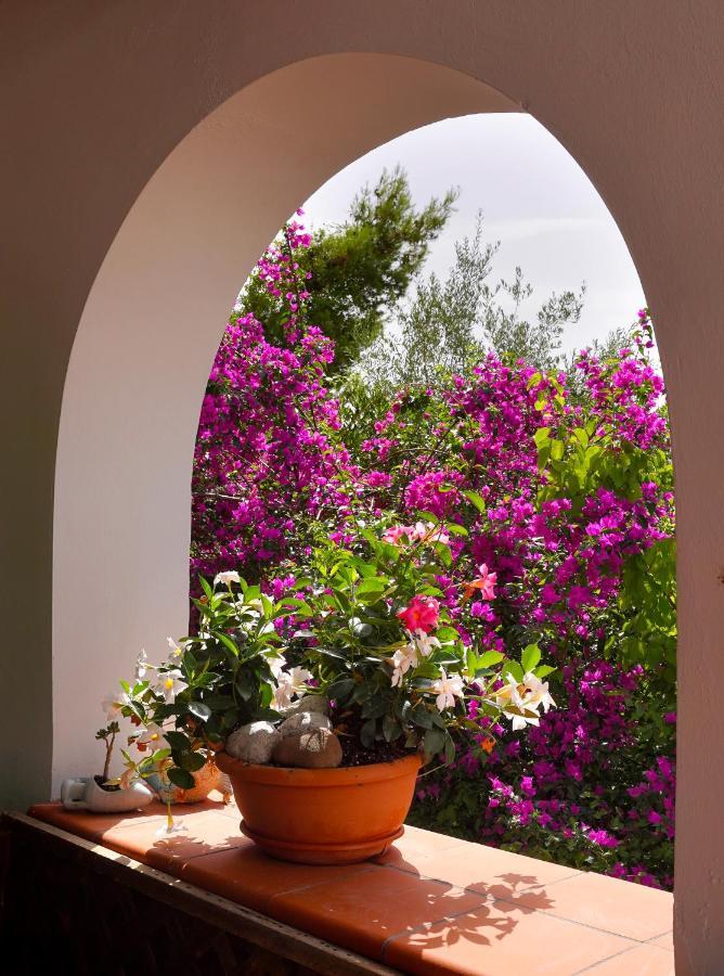 Vila La Rosa Dei Venti Massa Lubrense Exteriér fotografie