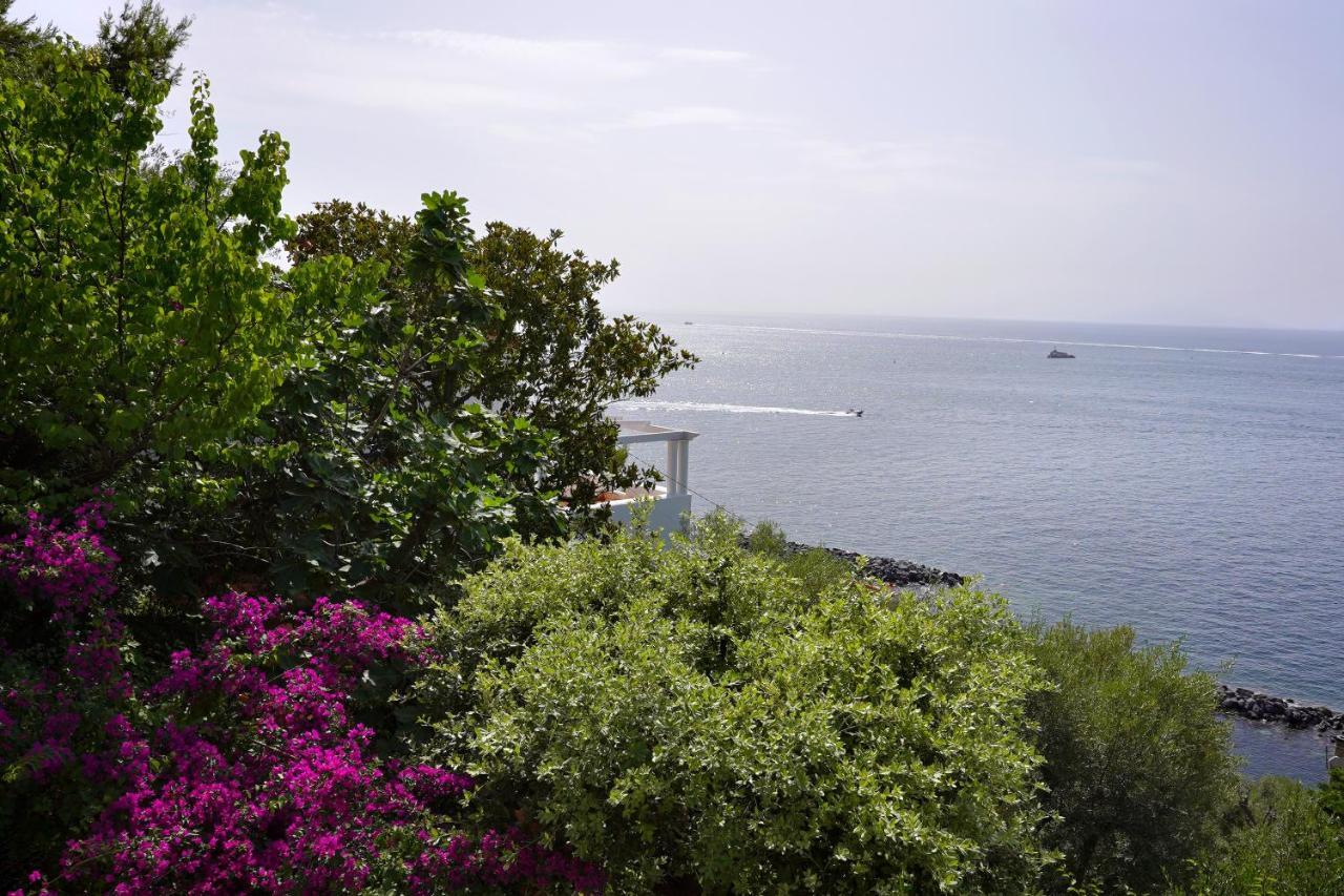 Vila La Rosa Dei Venti Massa Lubrense Exteriér fotografie